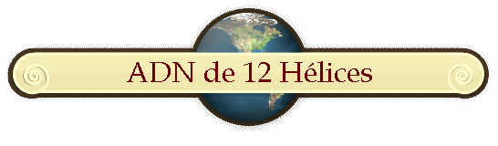ADN de 12 Hélices