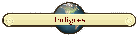 Indigoes